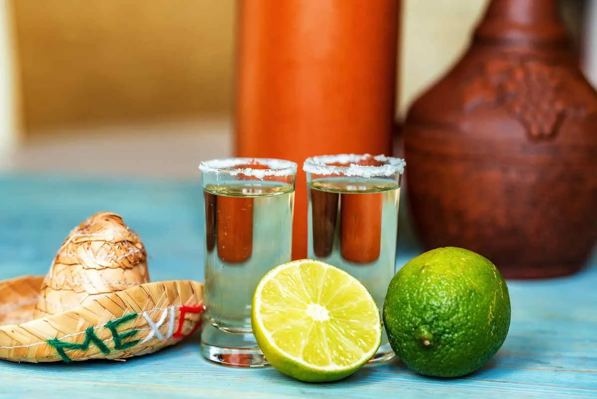 The Ultimate Guide to Tequila: Exploring Types, Brands, and Traditions
