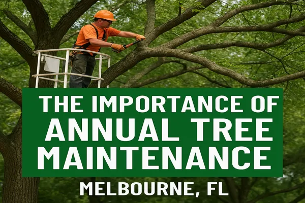 Annual tree maintenance.