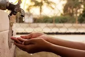 La Amenaza Silenciosa: La Ganadería y la Escasez de Agua
