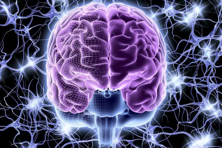 Nervous System Regulation: The Key to My Health?