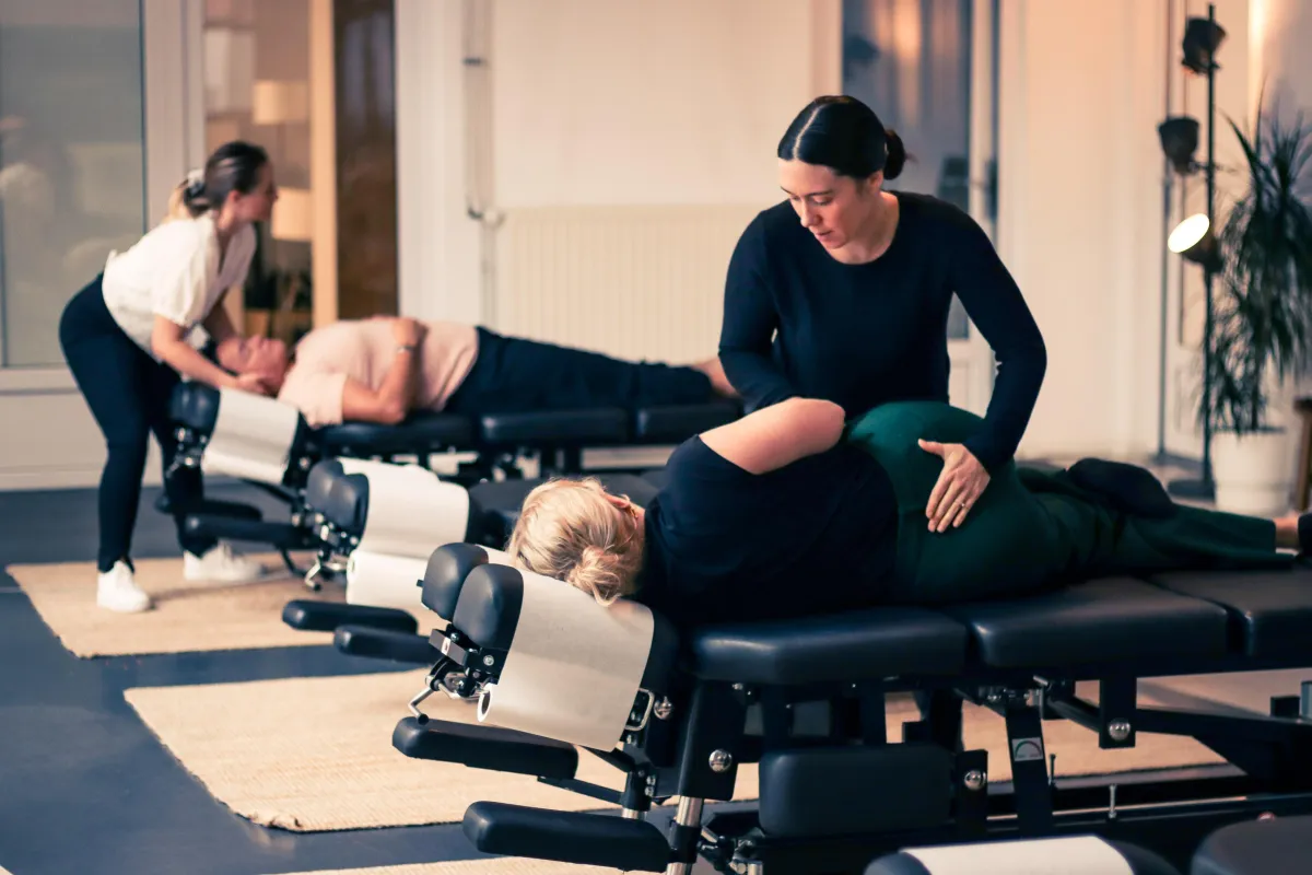 Zenuwstelselregulatie: De Sleutel tot Gezondheid?