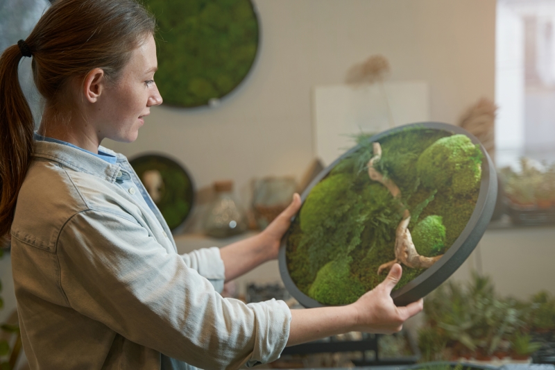 Before You Build 2026, Build This: A Regulated Inner Ecosystem