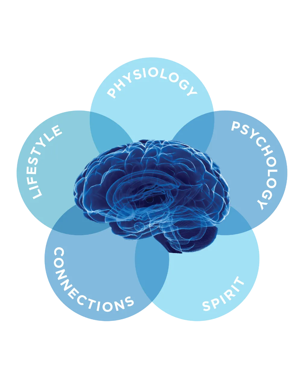 Introduction To Actualized Recovery