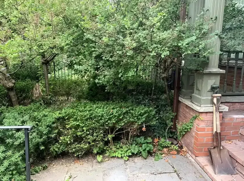 yard upgrades  The Trusted Handyman  project showcase for Toronto  Home Repairs