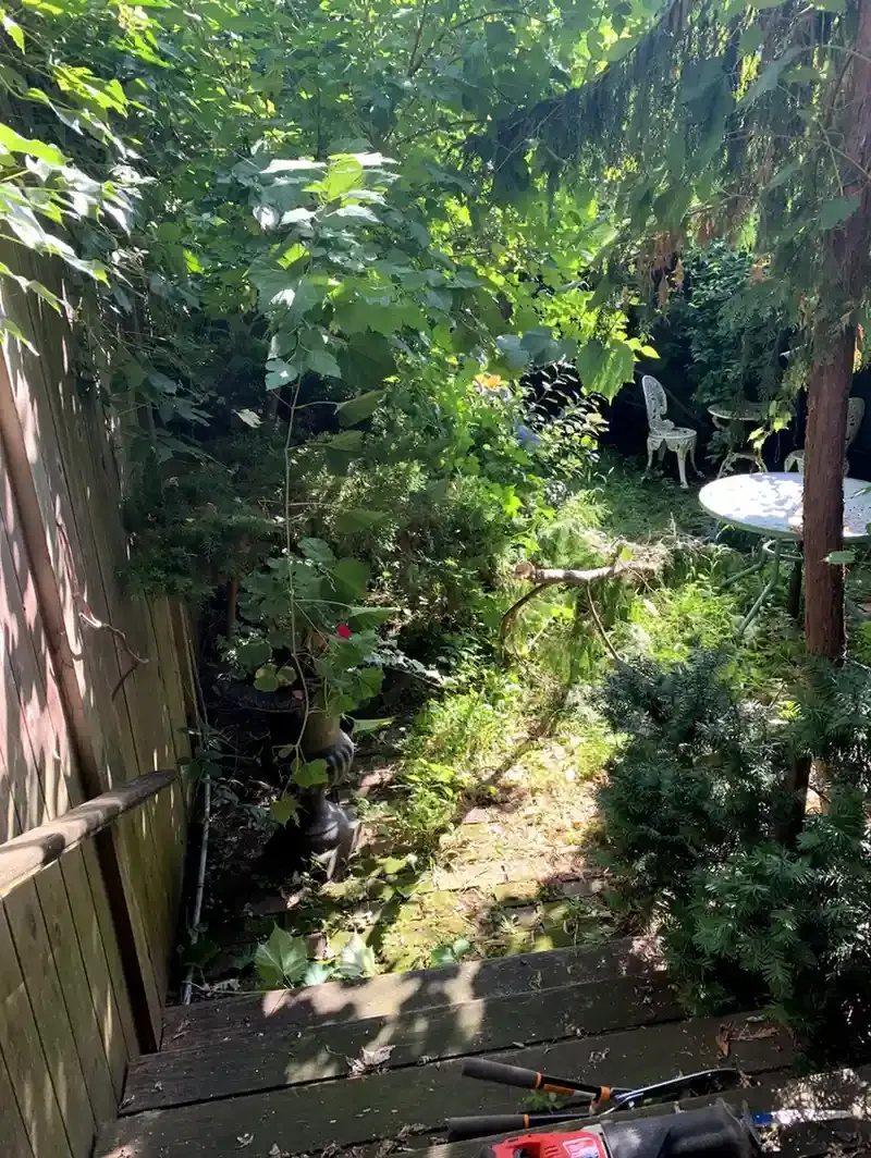 yard upgrades  The Trusted Handyman  project showcase for Toronto  Home Repairs