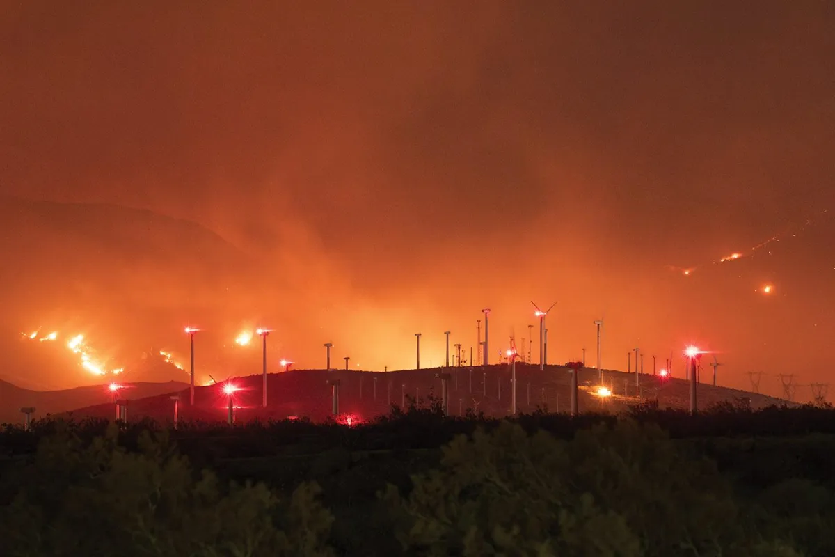 Bright orange glow from a distant wildfire lighting up the night sky behind a row of palm trees in the Southern California desert.