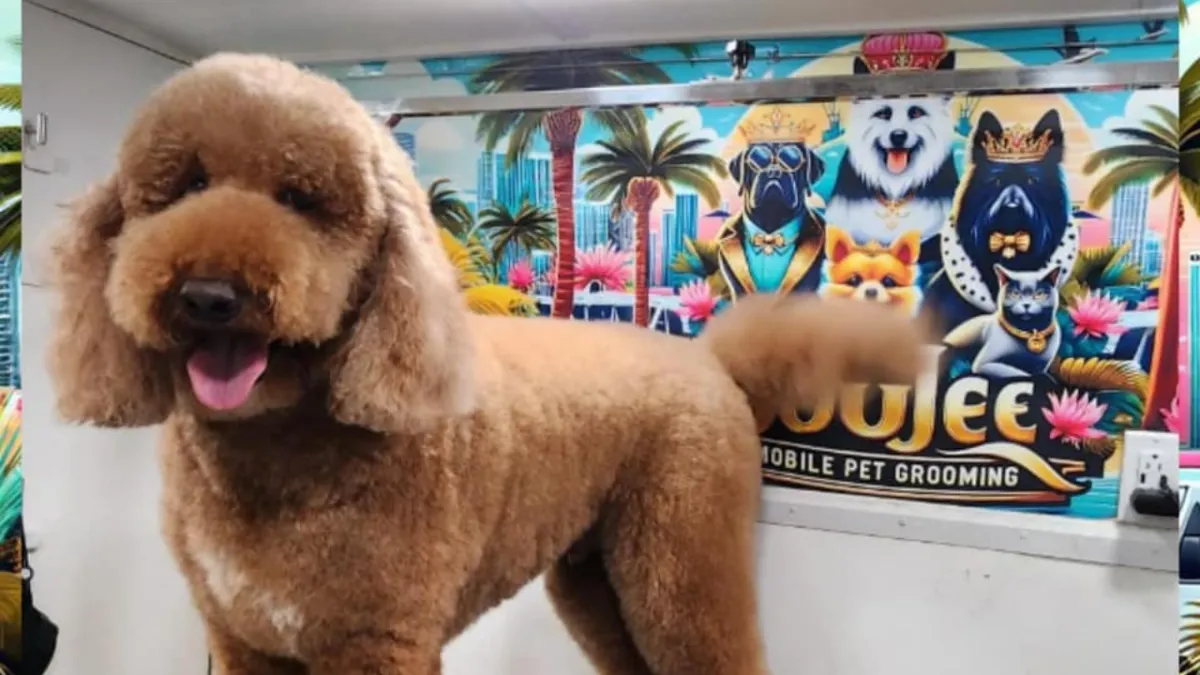 Mobile Pet Grooming Services in Hialeah FL