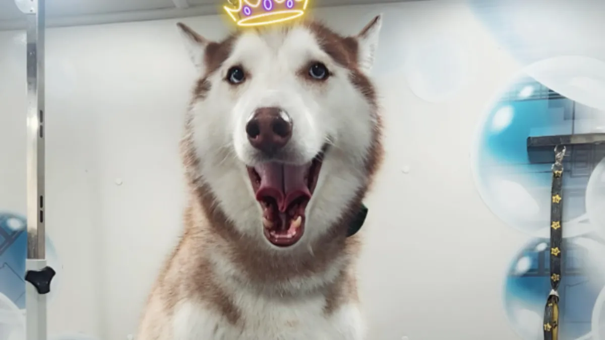 Pet Grooming Services in Hialeah FL