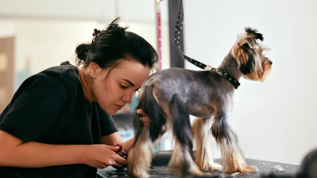 Full-service pet salon Miami Lakes FL