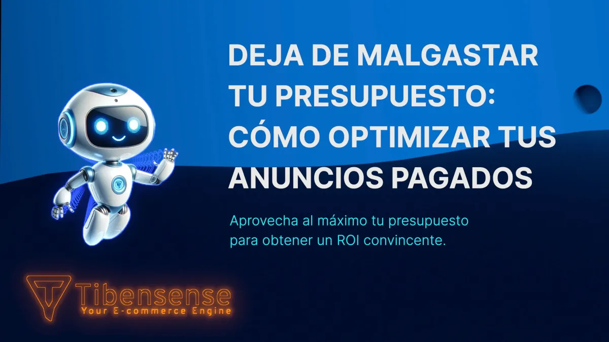 Aprovecha al máximo tu presupuesto para un ROI convincente.