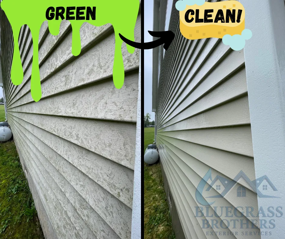 5 Reasons Why You Should Get Your Siding Pressure Washed