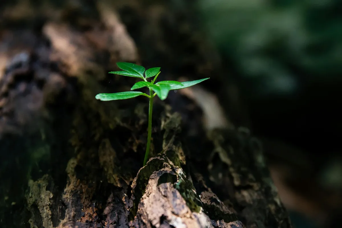 Resilience