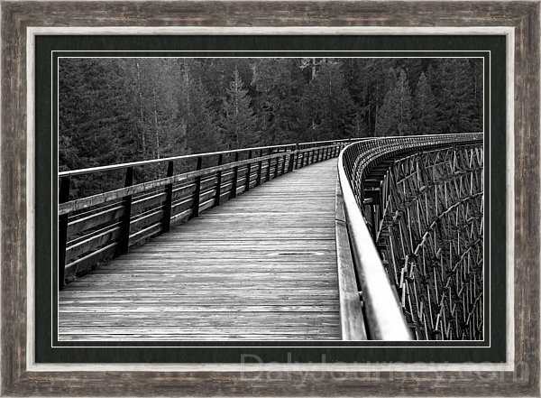 Kinsol Trestle Boardwalk photograph by John Daly of Daly Photography