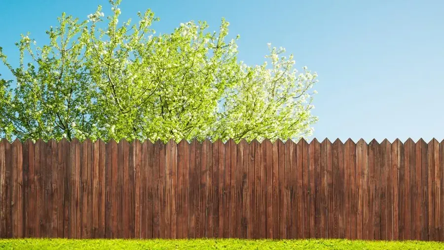 Fencing Contractors Near Me: A Complete Guide