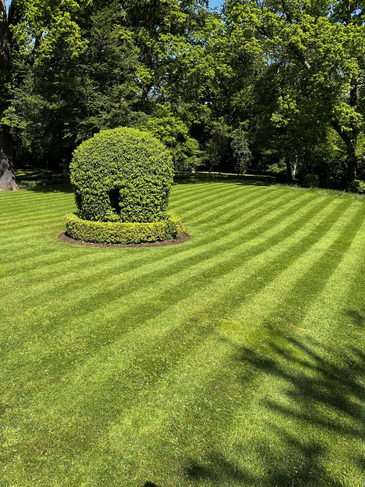 Grass-Cutting-Services-Bicester