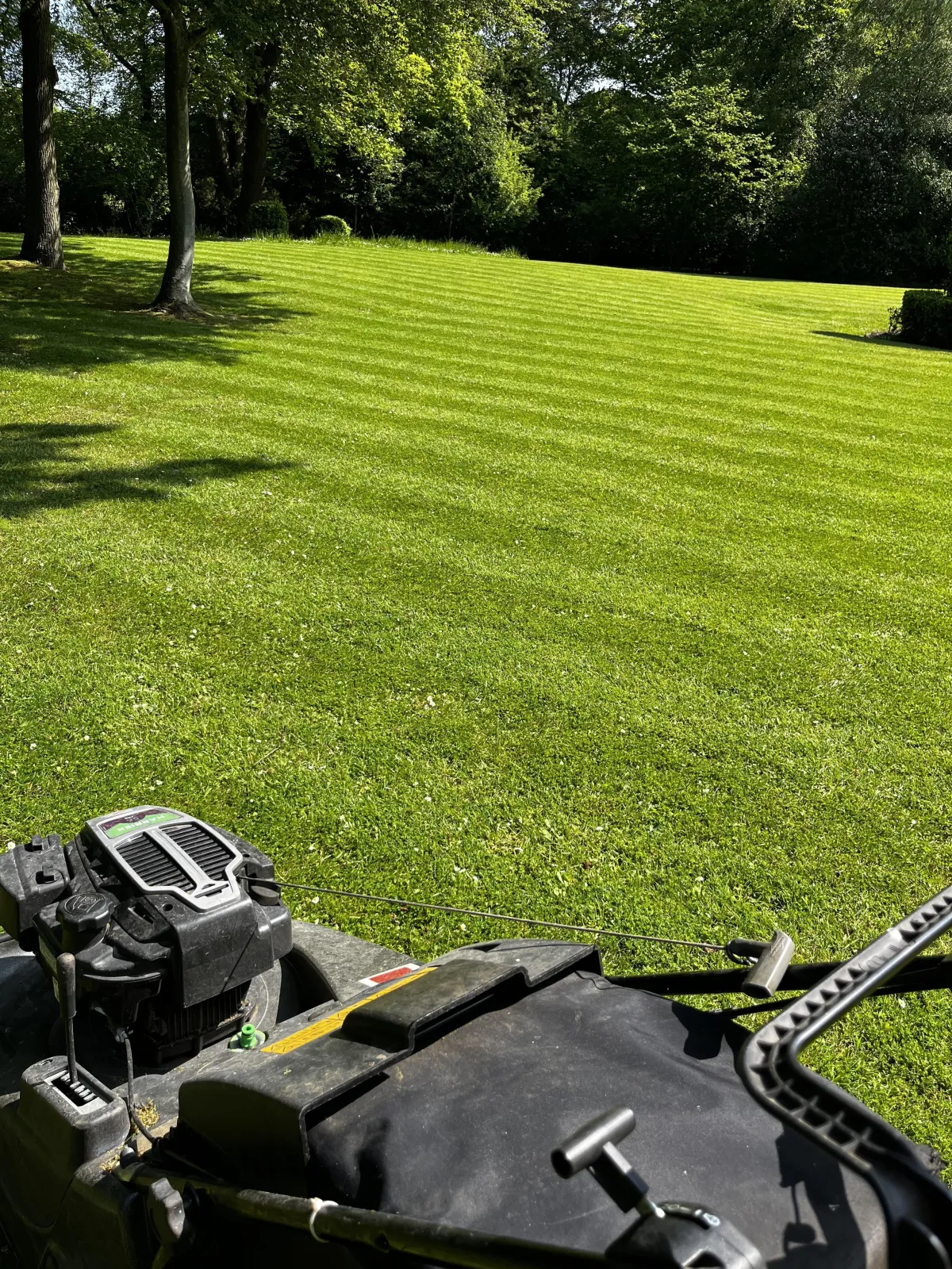 Lawn-Mowing-Services-Bicester