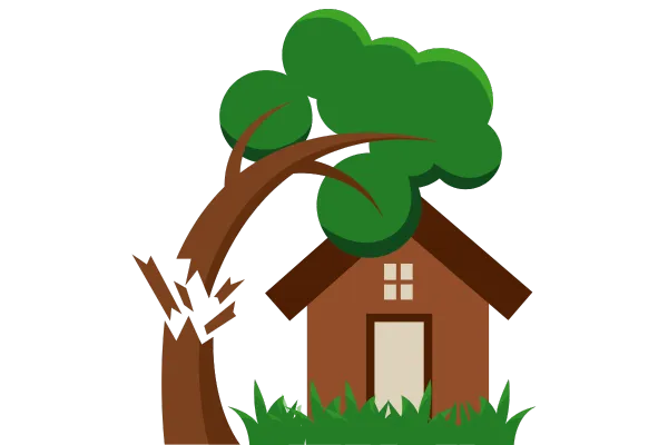 Image of a tress blowing in the wind onto a house
