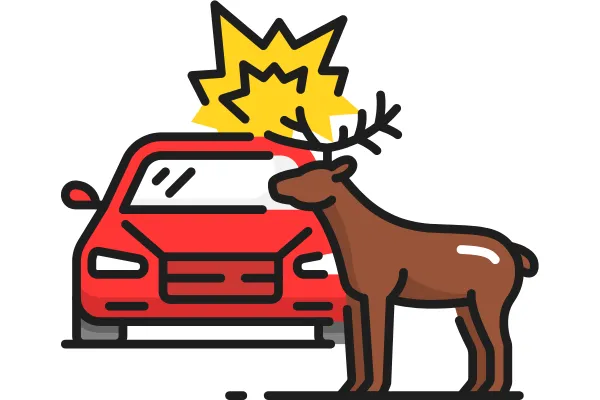 Deer standing in front of a car