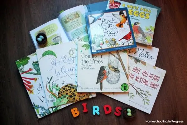 Enjoy a Fun Spring Bird Nature Study: Engaging Activities for Kids