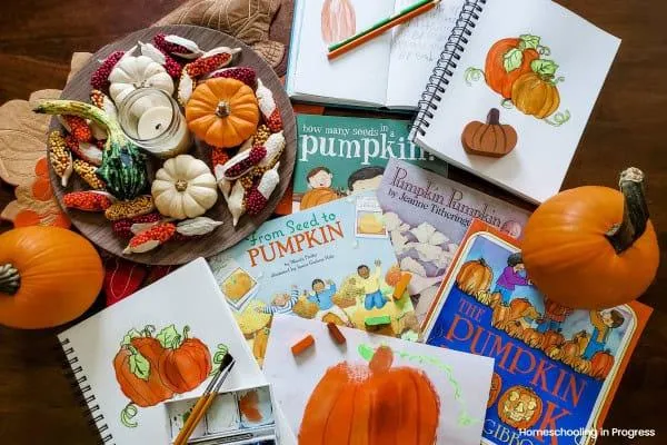 How to Create the Perfect Pumpkin Nature Study for Fall