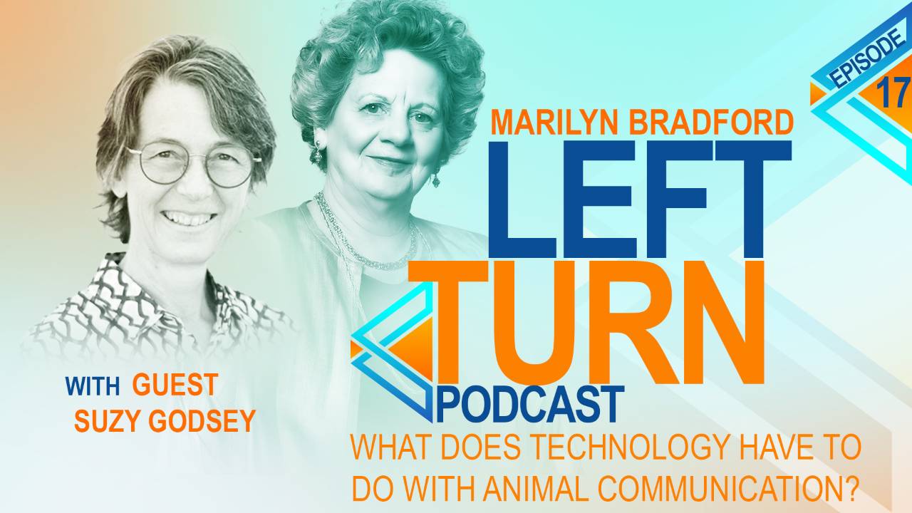 What Does Technology Have To Do with Animal Communication? with Suzy Godsey