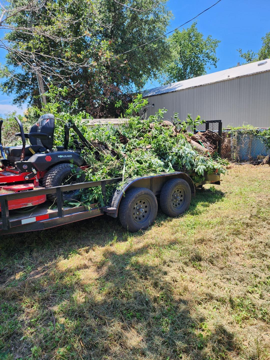 Landscape Cleanup Fort Worth Texas W7 LLC