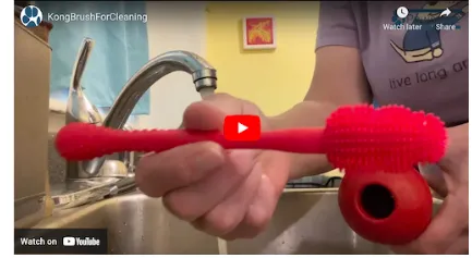 Right Tool for the Job: Kong Cleaning Brush