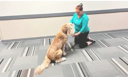 Bake or Buy to Bond: Celebrate National Dog Biscuit Day Your Way