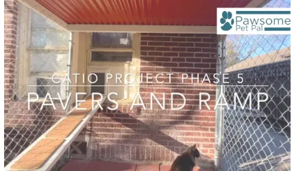 Backyard Catio Phase 5: Paving the Way for Play and Access