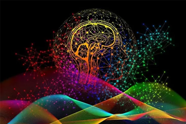 An area of the brain that processes visual information, the primary visual cortex, is highly organized, forming patches of neighboring neurons that tend to be active together and respond to similar visual features.