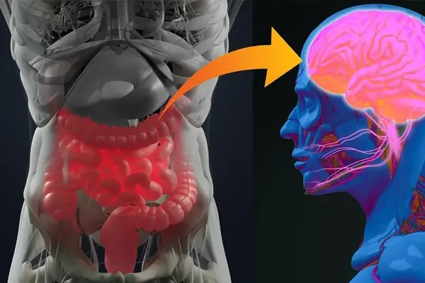 Gut Health