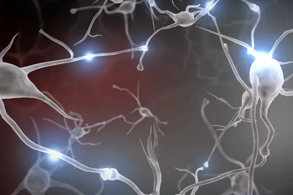 brain connections