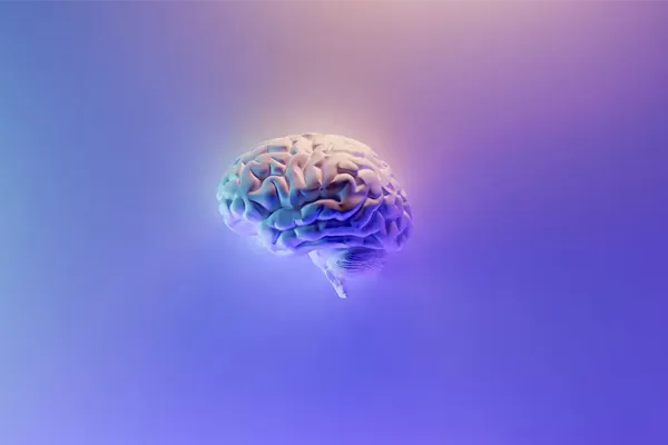 brain