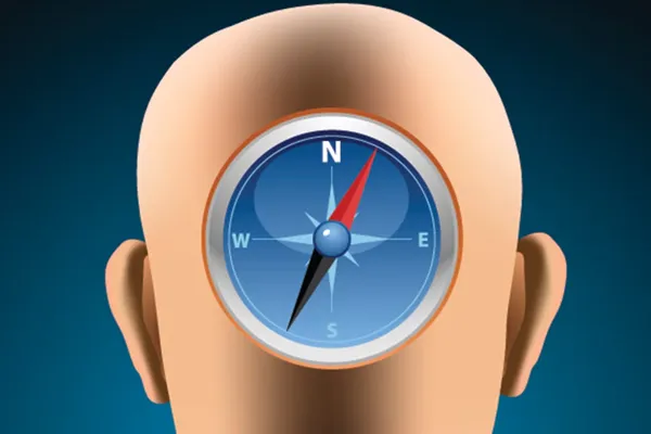 Brain Compass