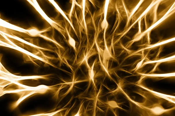 brain connections