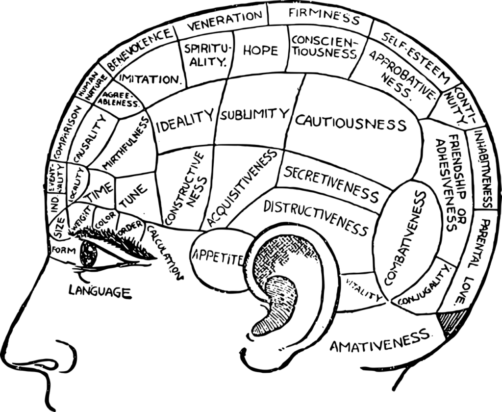 parts of brain