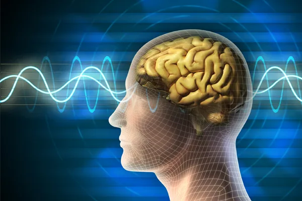 Brain Activity