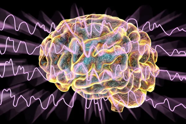 A brain and brain waves
