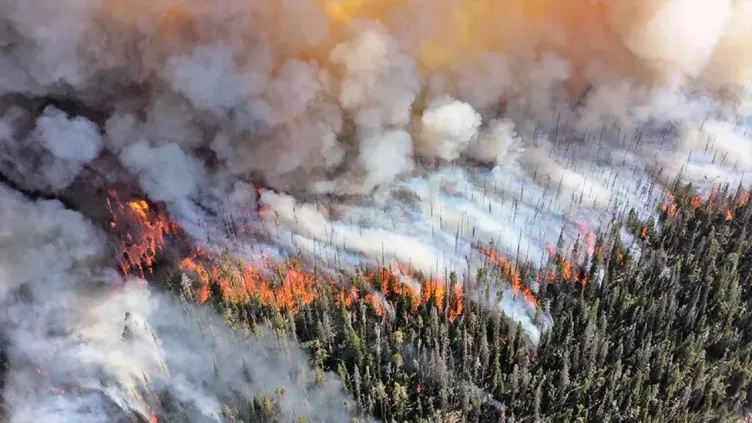 The Growing Risk of Wildfires and the Role of Waste Management Companies