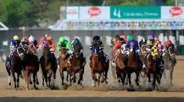 Race toward success