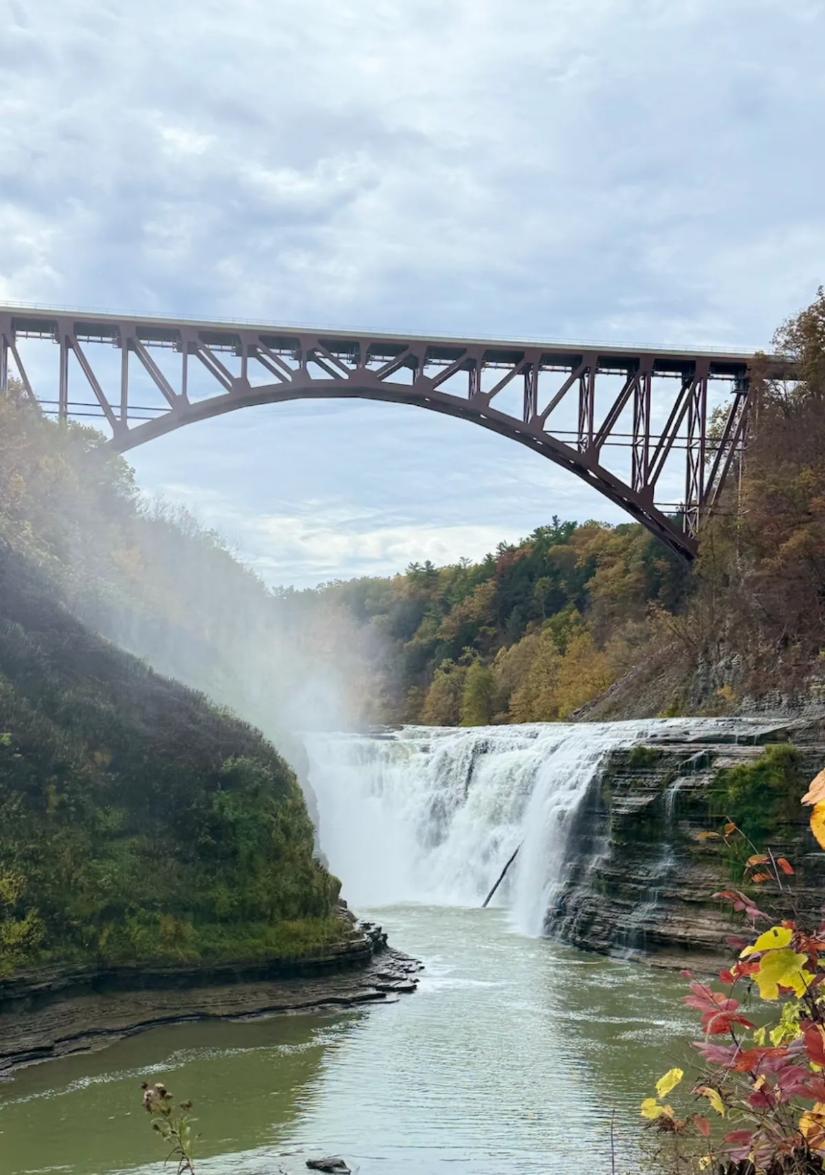 Gratitude with Heart and Hope