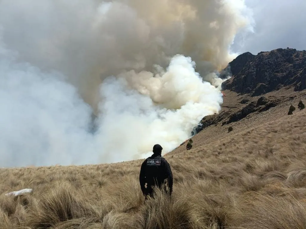 Preventing Wildfires in Mexican Mountains and National Parks