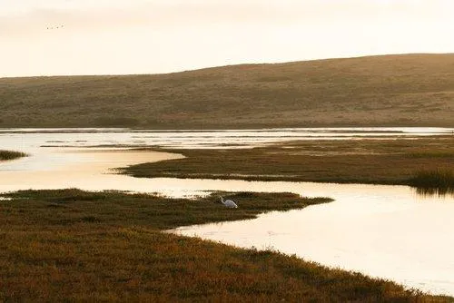 Hot Springs Valley Wetlands Restoration