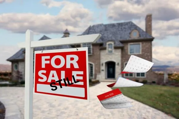 Historic drop for first-time homebuyers (July 2025 - Newsletter)