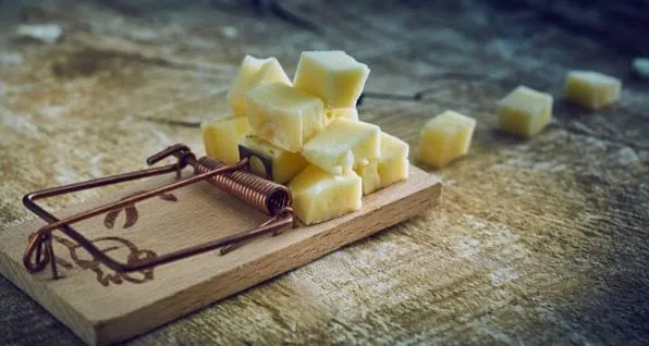 mpouse trap loaded with cheese
