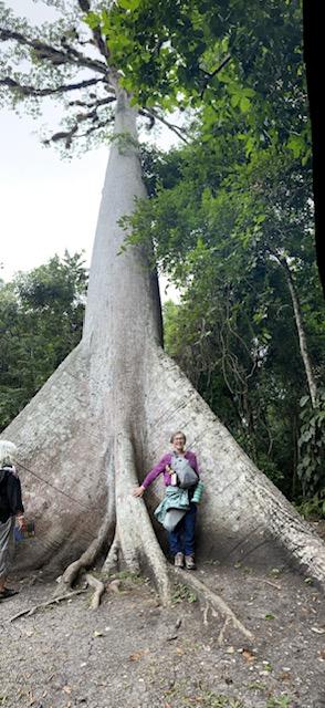 The Pachamama Alliance