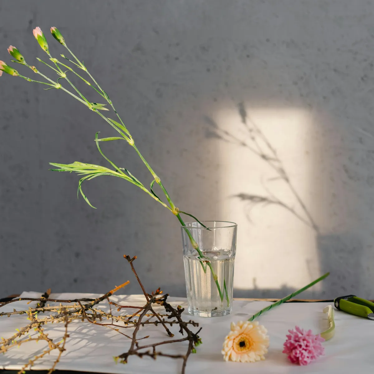 Perimenopause is Wrecking Our Sex Life — What Now?