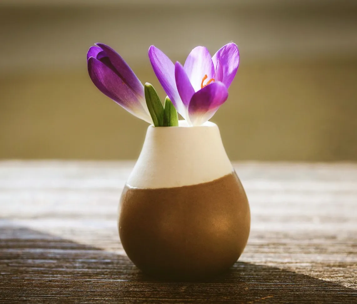 Perimenopause & Libido: A guide for you and your partner