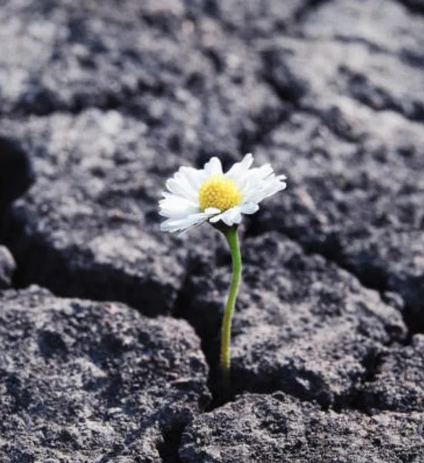 How to Want Sex Again in Perimenopause Without Forcing Yourself