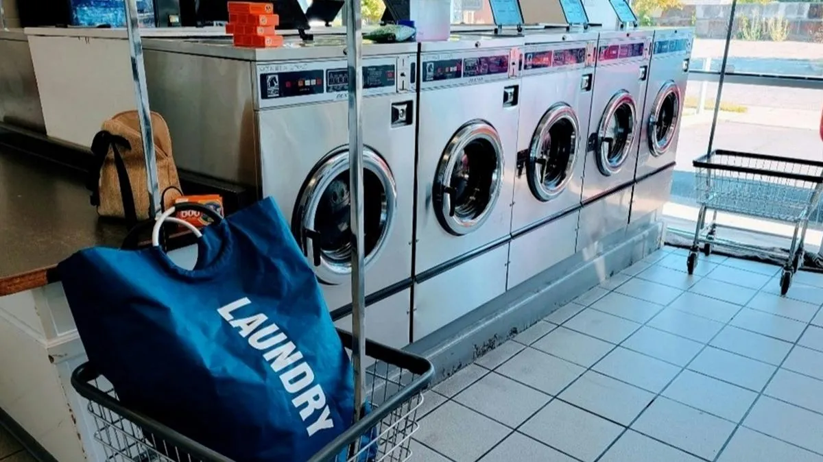What Affects Laundry Cost Per Pound? 5 Factors You Should Know